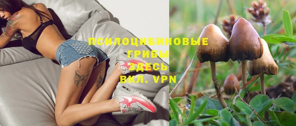 jwh Аркадак